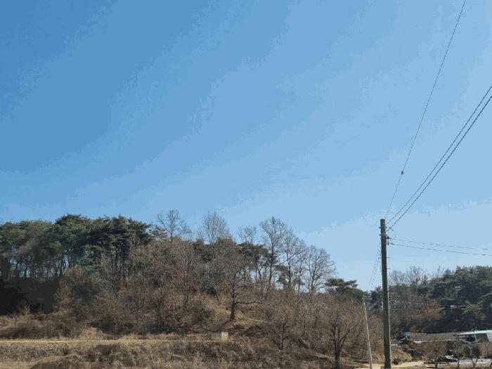 경상북도 안동시 와룡면 지내리 산29 법원경매 물건 대표사진