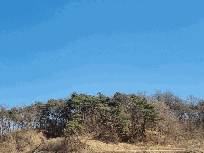 법원경매 2025타경10280 사진4 | 안동시 와룡면 지내리 임야 경매