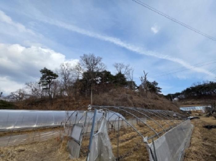 법원경매 2025타경10280 사진6 | 안동시 와룡면 지내리 임야 경매