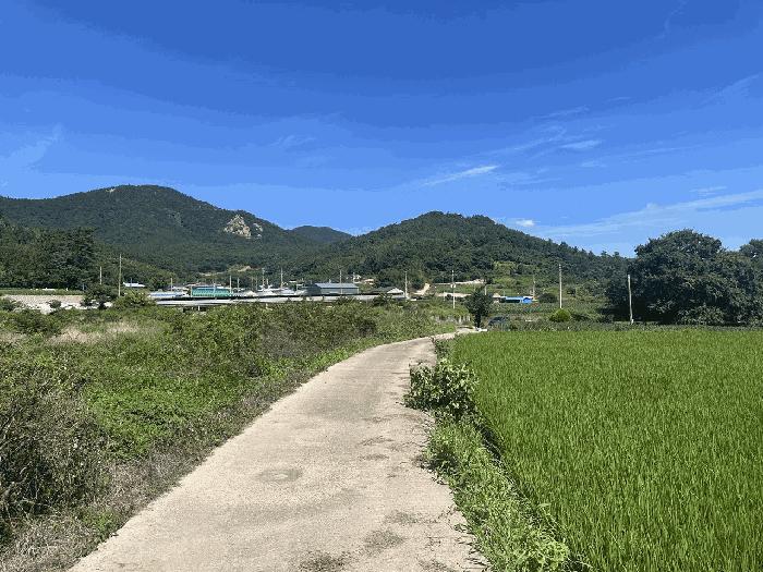 전라남도 장흥군 대덕읍 잠두리 556-3 법원경매 물건 대표사진