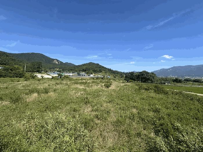 2025타경89 법원경매 사진2 | 전남 장흥군 전답 경매