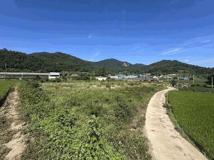 2025타경89 법원경매 사진3 | 전남 장흥군 전답 경매