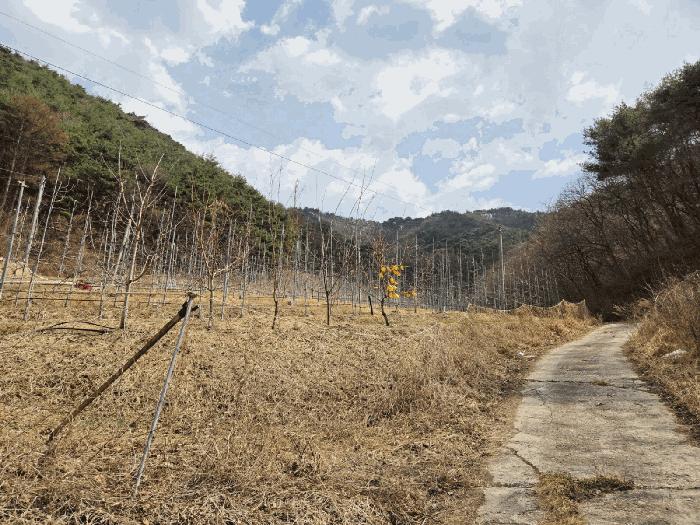 경상북도 봉화군 물야면 개단리 110 법원경매 물건 대표사진