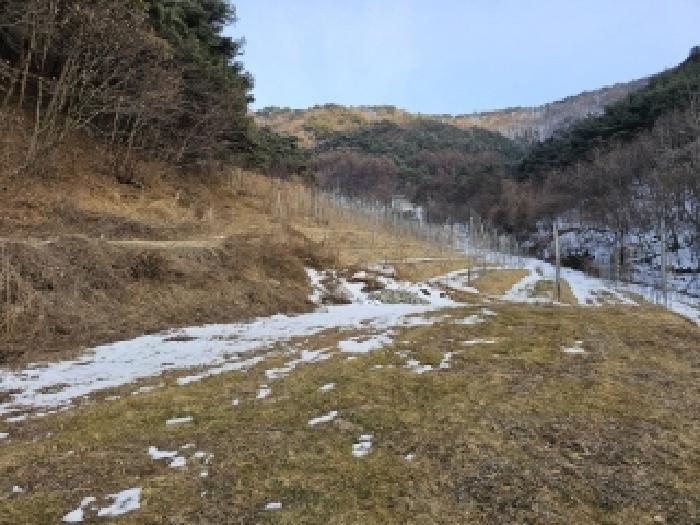 법원경매 2025타경100206 사진10 | 봉화군 물야면 개단리 110 주택건물 경매