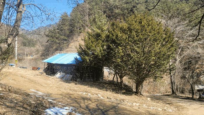 경상북도 봉화군 소천면 분천리 696 법원경매 물건 대표사진