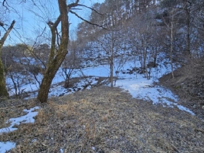 2025타경100241 법원경매 사진19 | 경북 봉화군 전답 경매