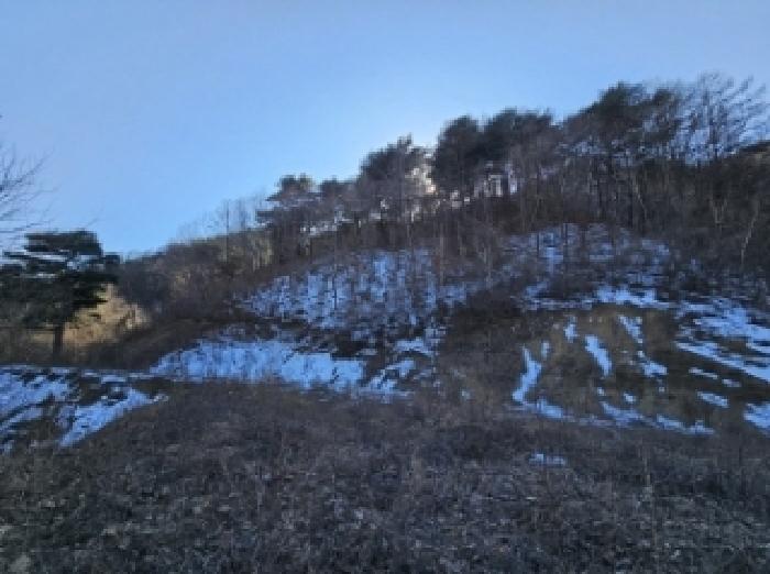 2025타경100241 법원경매 사진29 | 경북 봉화군 전답 경매