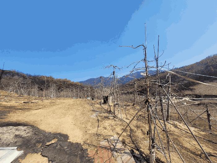 경상북도 안동시 길안면 배방리 100-1 법원경매 물건 대표사진