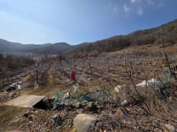 법원경매 2025타경100272 사진4 | 안동시 길안면 배방리 100-1 전 경매