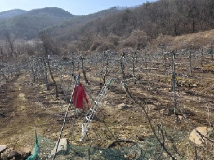 법원경매 2025타경100272 사진5 | 안동시 길안면 배방리 100-1 전 경매
