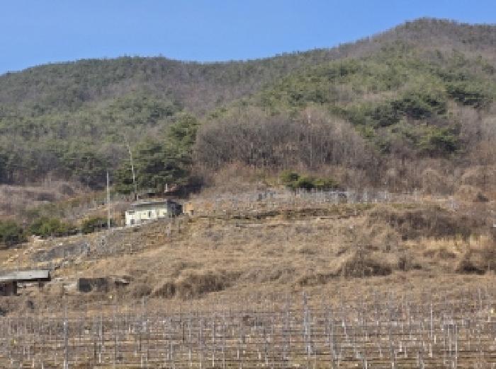 법원경매 2025타경100272 사진6 | 안동시 길안면 배방리 100-1 전 경매