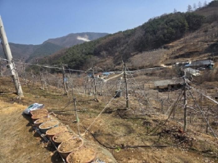 법원경매 2025타경100272 사진8 | 안동시 길안면 배방리 100-1 전 경매