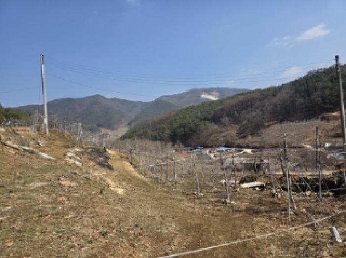 법원경매 2025타경100272 사진10 | 안동시 길안면 배방리 352 전 경매
