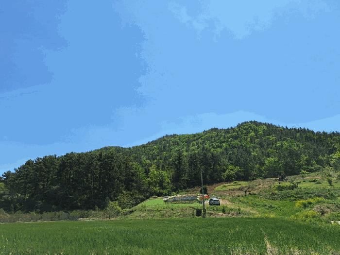 2025타경5251 법원경매 사진2 | 전남 장흥군 임야 경매