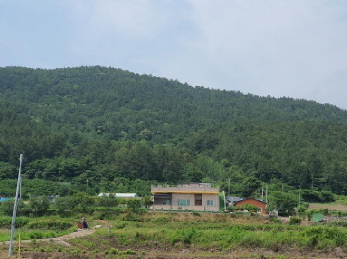 2025타경5265 법원경매 사진6 | 전남 강진군 답 경매