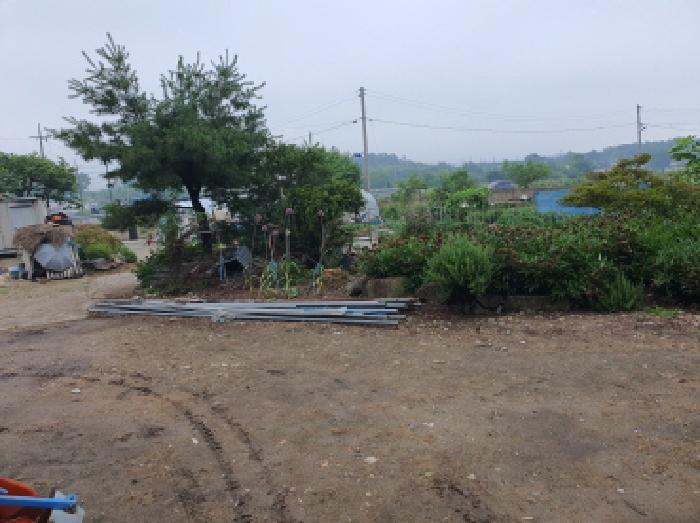 2025타경5278 법원경매 사진32 | 전남 장흥군 대지 경매