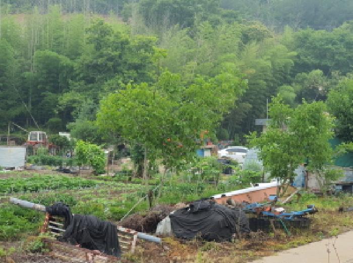 2025타경5278 법원경매 사진35 | 전남 장흥군 대지 경매
