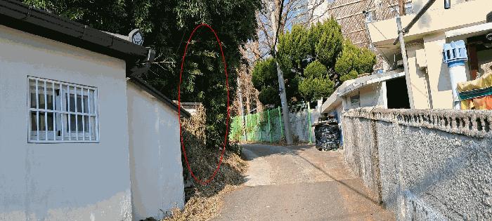 법원경매 2025타경285 사진2 | 부산 기장군 장안읍 좌천리 390 전 경매