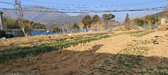 법원경매 2025타경285 사진4 | 부산 기장군 장안읍 좌천리 390 전 경매
