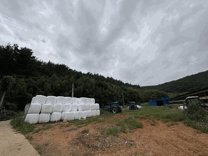 전남 강진군 마량면 영동리 260 대지 사진 3