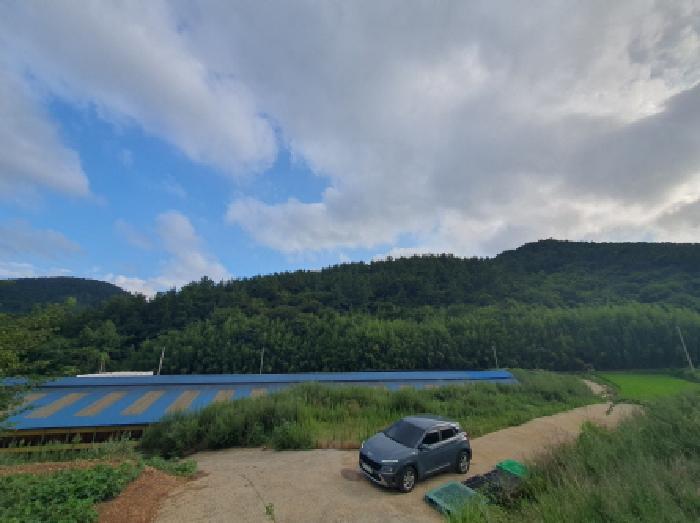 2025타경5293 법원경매 사진6 | 전남 강진군 임야 경매