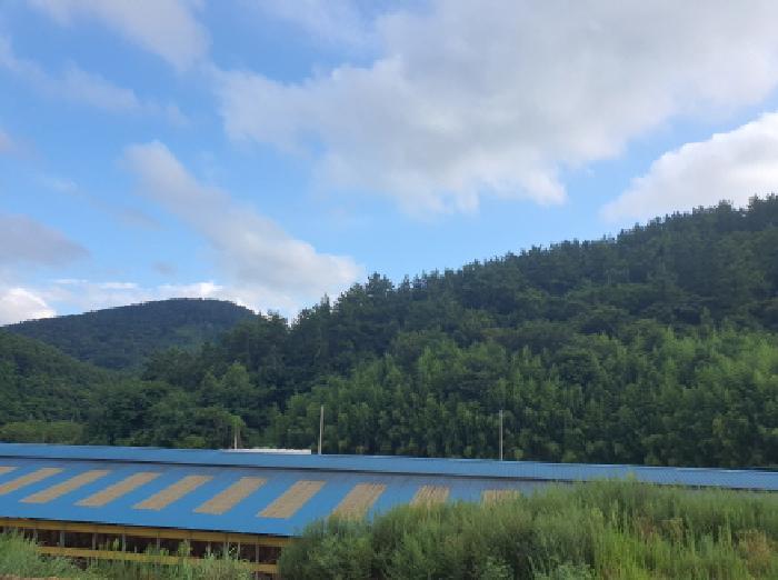 2025타경5293 법원경매 사진7 | 전남 강진군 임야 경매