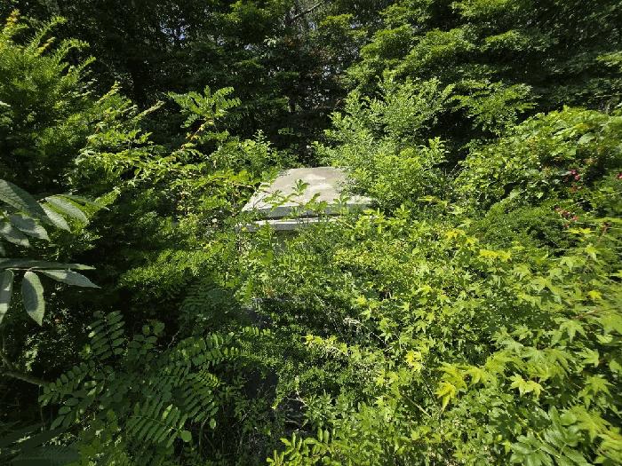 2025타경31267 법원경매 사진3 | 전주 완산구 임야 경매