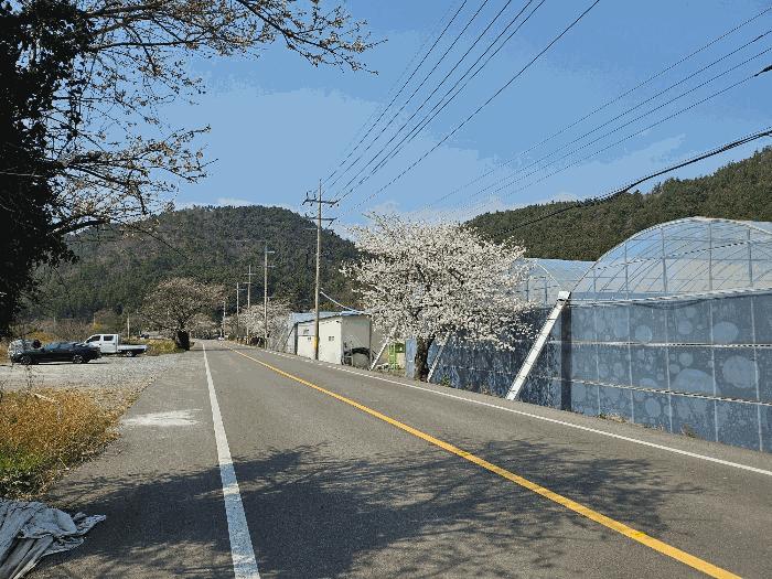 법원경매 2025타경5225 사진3 | 장흥군 관산읍 옥당리 471 주택건물 경매