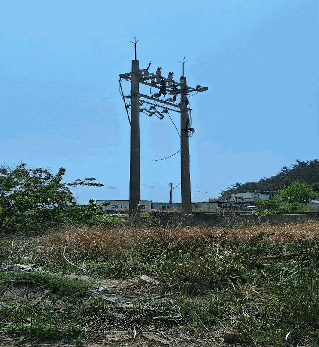 2025타경5237 법원경매 사진5 | 전남 강진군 잡종지 경매