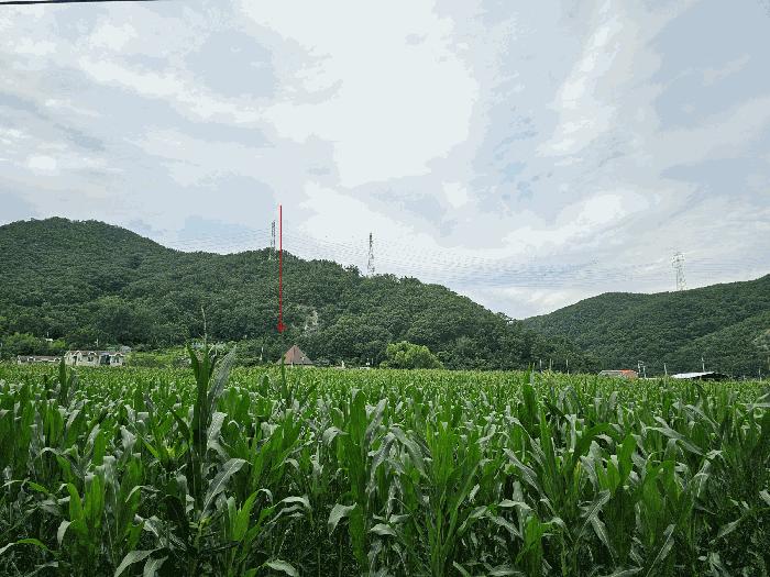 경상북도 포항시 남구 연일읍 중명리 1111 법원경매 물건 대표사진