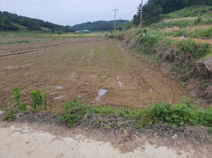 2025타경5258 법원경매 사진5 | 전남 강진군 답 경매