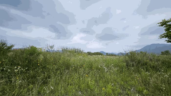 전라남도 강진군 성전면 명산리 1487-4 법원경매 물건 대표사진