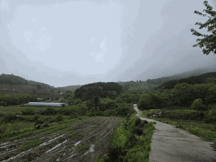 2025타경30169 법원경매 사진17 | 전북 남원시 임야 경매