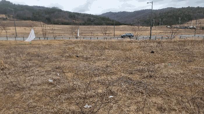 경상북도 포항시 북구 흥해읍 대련리 1249 법원경매 물건 대표사진