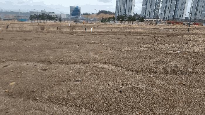 법원경매 2025타경290 사진6 | 포항시 북구 흥해읍 대지 경매