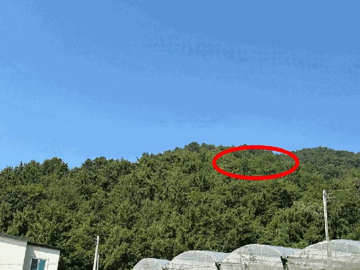 2025타경557 법원경매 사진3 | 전남 보성군 답 경매