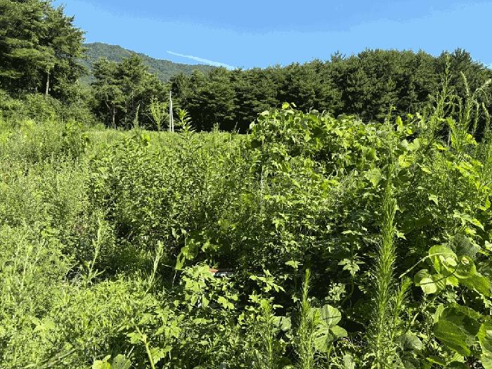 전라남도 고흥군 남양면 월정리 466 법원경매 물건 대표사진