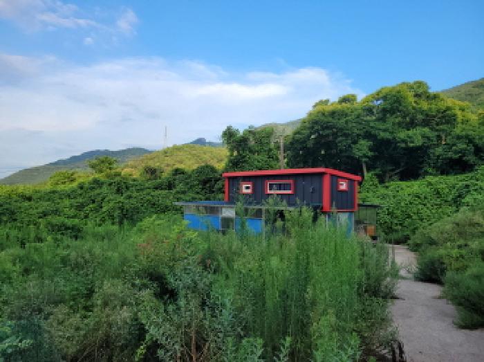 법원경매 2025타경557 사진10 | 고흥군 남양면 월정리 466 전 경매