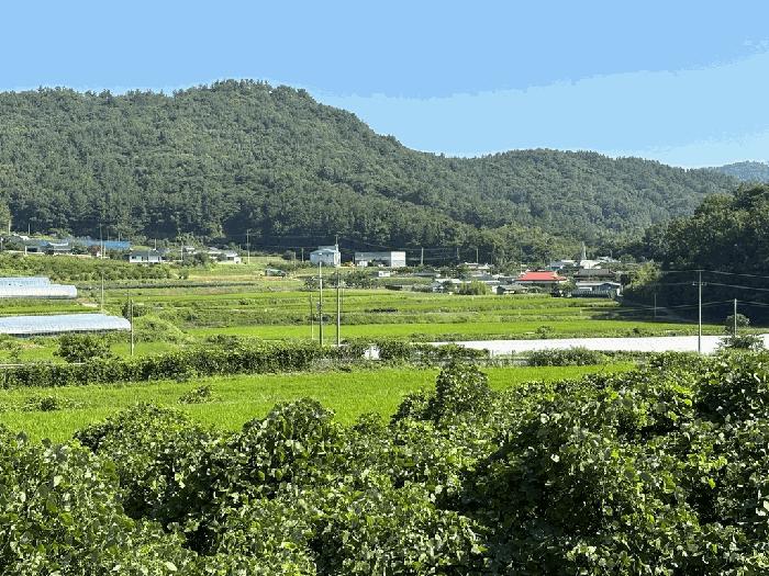 법원경매 2025타경557 사진5 | 고흥군 남양면 월정리 466 전 경매