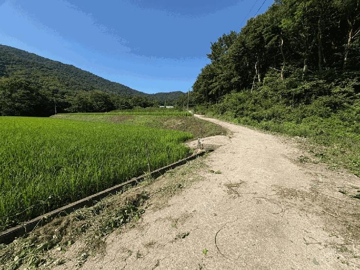 법원경매 2025타경557 사진6 | 고흥군 남양면 월정리 466 전 경매