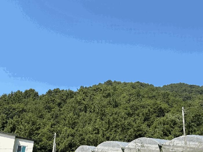 법원경매 2025타경557 사진9 | 고흥군 남양면 월정리 466 전 경매