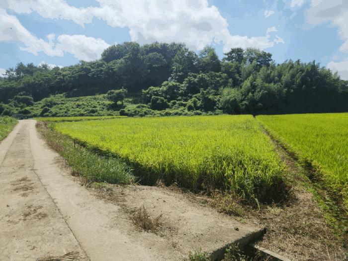 전라남도 고흥군 두원면 신송리 991-6 법원경매 물건 대표사진