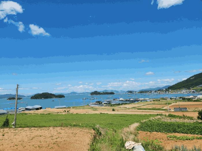 전라남도 여수시 돌산읍 금봉리 1278-1 법원경매 물건 대표사진