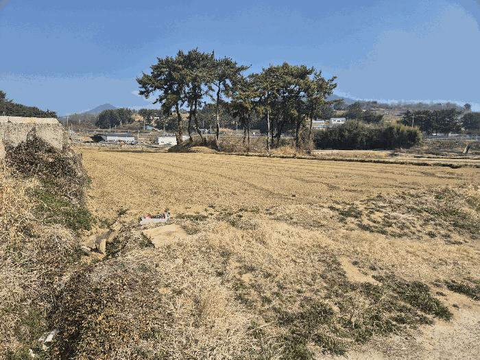 2025타경564 법원경매 사진8 | 경남 남해군 전답 경매