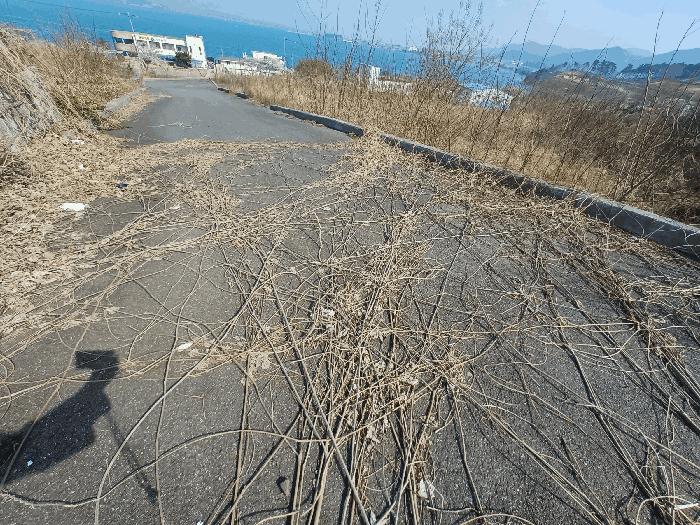 2025타경589 법원경매 사진4 | 경남 사천시 임야 경매