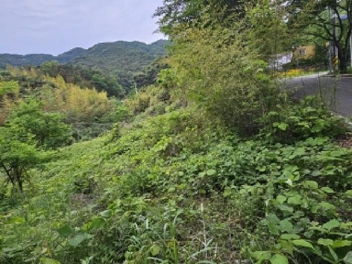 2025타경664 법원경매 사진11 | 경남 산청군 임야 경매