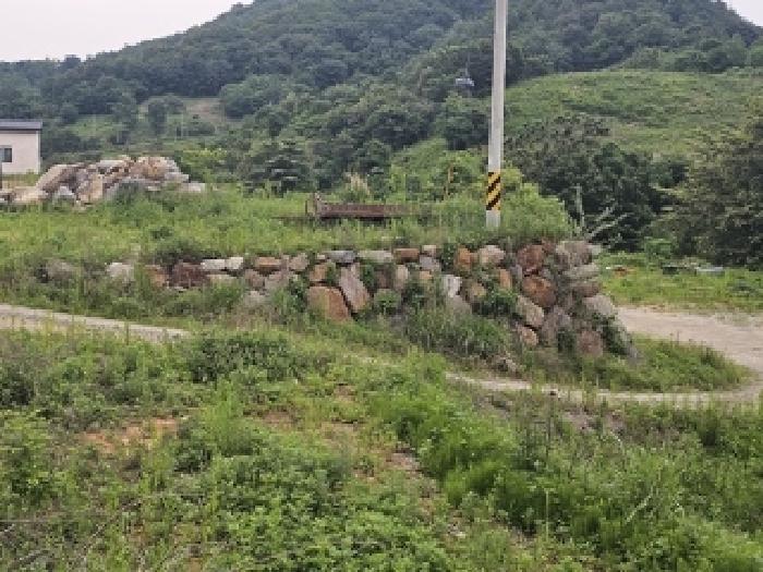 2025타경664 법원경매 사진14 | 경남 산청군 목장용지 경매