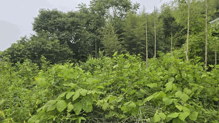 경상남도 사천시 곤명면 본촌리 88 법원경매 물건 대표사진