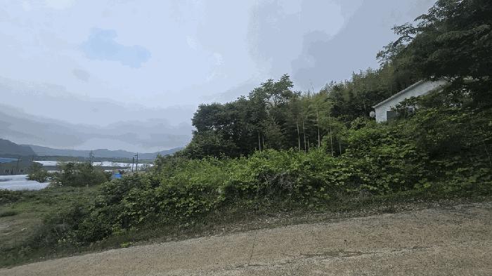 2025타경691 법원경매 사진8 | 경남 사천시 임야 경매
