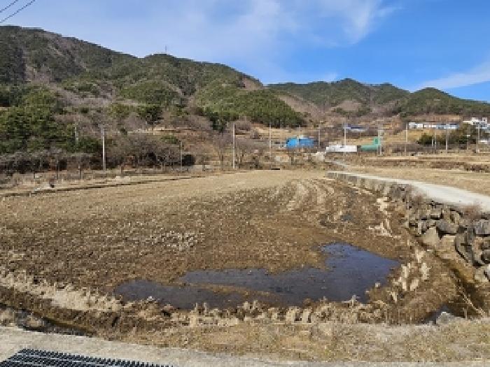 법원경매 2025타경30402 사진7 | 산청군 산청읍 척지리 318 답 경매